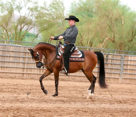 Mya powell performance could lead her team to a national title 28