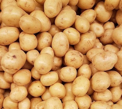 potato update
