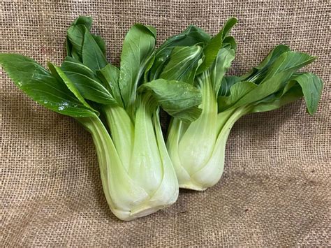 pak choi pack  local veg box people
