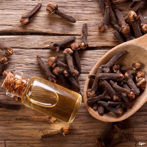 Гвоздика – доказанная наукой польза специи для организма | Cloves ...