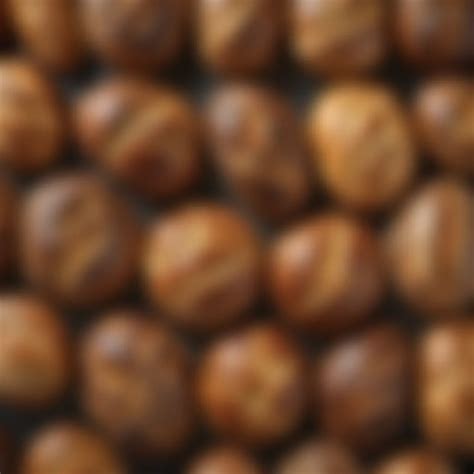 mastering bread baking techniques  science