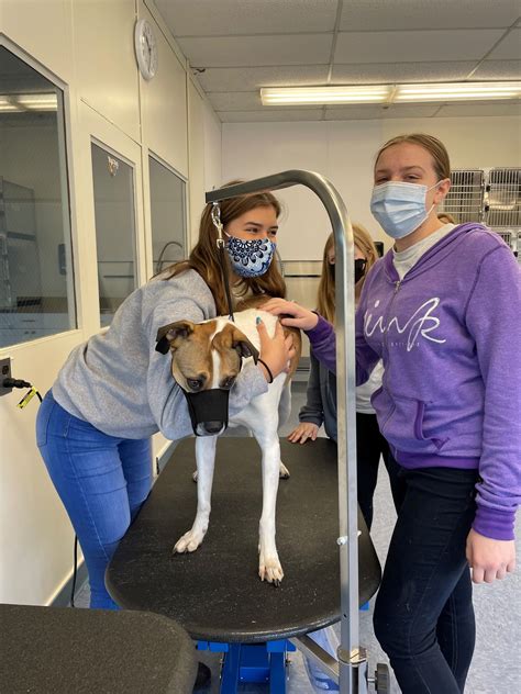 Veterinary Science - Vinal Technical High School