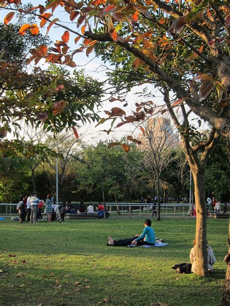 Birding Taiwan: Taipei City park