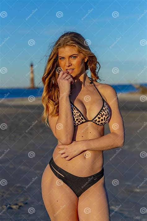 Beautiful Bikini Model Posing in a Beach Environment Stock Photo