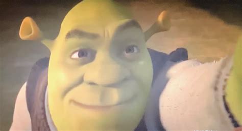 Shrek selfie : rShrek