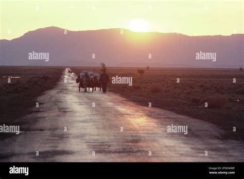 Region sinkiang hi-res stock photography and images - Alamy
