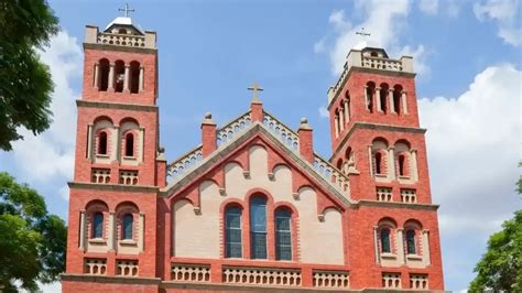 start  treatment  polokwane invisalign