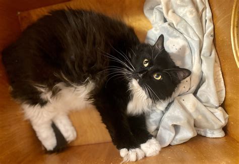 PNJ Community Celebrates Life of Selfless Nurse, Sarah Lee 10