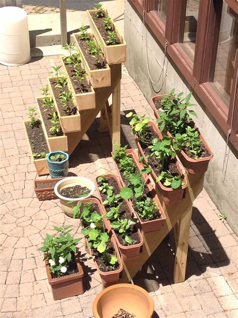 Small Space Gardening Ideas for Balconies
