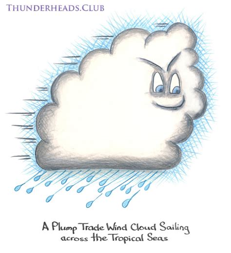 Cumulus mediocris clipart 19 free Cliparts | Download images on ...