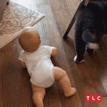 crawling baby gifs crawling graphics  animated gifs