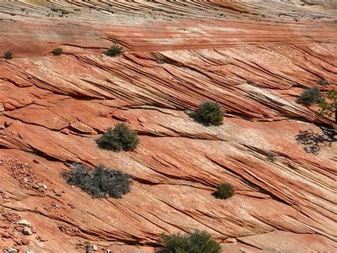 Zion National Park Utah Usa - Free photo on Pixabay - Pixabay