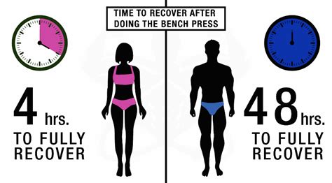 Men Vs Women: The Best Way To Lose Fat (KEY DIFFERENCES)