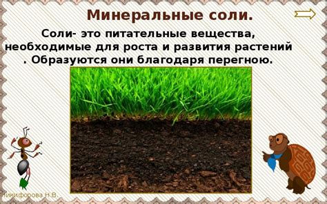 Презентация по окружающему миру для 3 класса "Что такое почва"