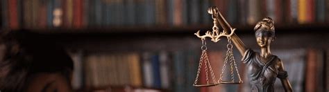 lex academy india  legal training practical law courses