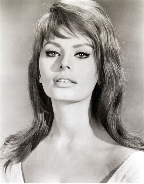 Sofia Loren | Hollywood | Sophia loren, Beauty, Actresses