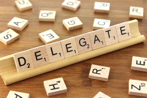 delegate elevate life   terms