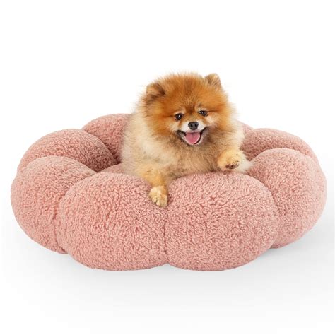 Fluffiest Puppy