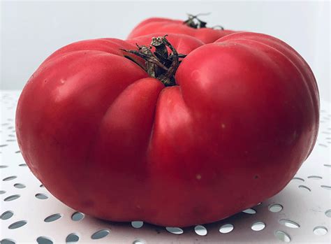 Tomato - Mémé de Beauce seeds - Heirloom Seeds Canada