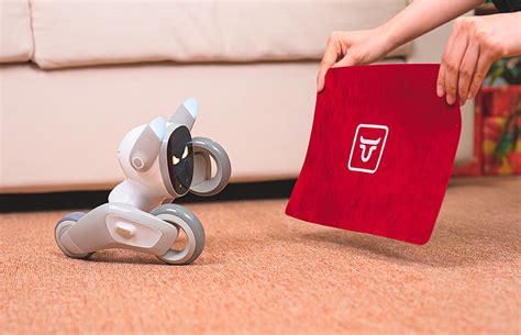 Купить Робот KEYi Tech Loona Petbot Go, белый — цена, описание в ...