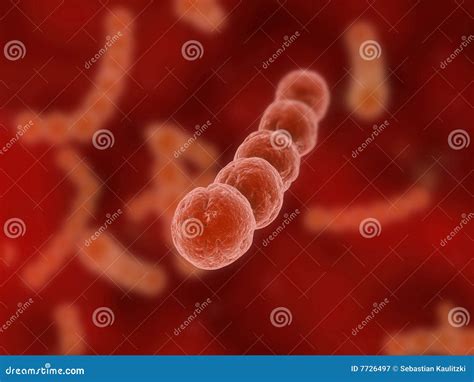 Streptokok stock illustratie. Illustration of bacil, microscoop - 7726497