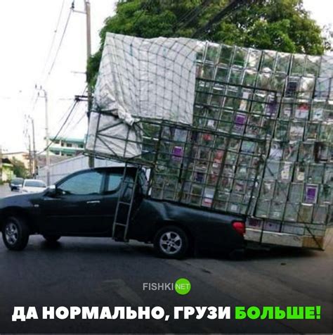 Свежая подборка автоприколов. ФОТО