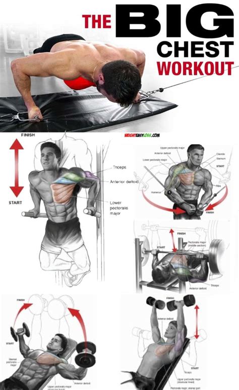 The Secret To Sculpting A Stronger Chest: 7 Steps To Reduce Man Boobs