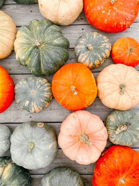 Meckley's Flavor Fruit Farm - Home | Facebook