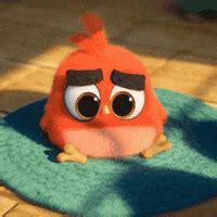 Baby Angry Bird GIFs - Find & Share on GIPHY