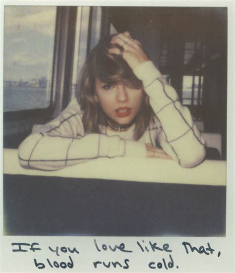 All 65 Polaroids Of Taylor Swift's 1989 Album - Being Melissa Von