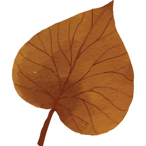 Autumn Leaves Clip art Element Transparent Background 24399398 PNG