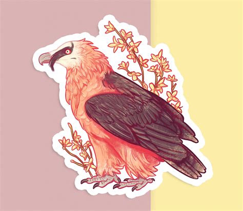 Handcut Vinyl Sticker Bearded Vulture Matte White - Etsy