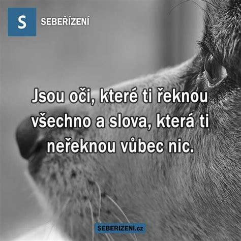 Pin di Marcelka Michálek su Citáty nejen slavných osobností.