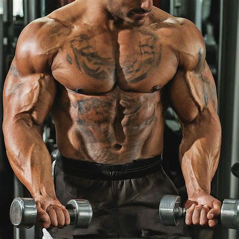 Biceps vs. Triceps: Which Muscle Is Bigger and Why It Matters