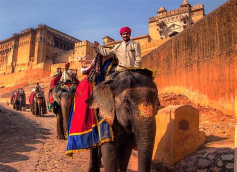 splendid rajasthan  packages   price