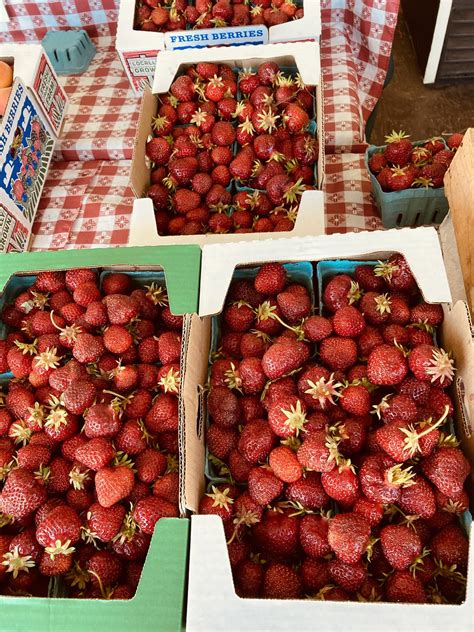 Greenville Farms | Forest Grove OR