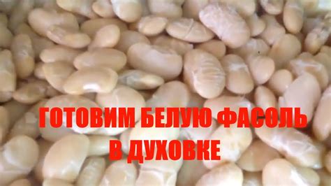 КАК ПРИГОТОВИТЬ ФАСОЛЬ БЕЛУЮ /ПОЛЕЗНО,ВКУСНО,БЫСТРО/ - YouTube