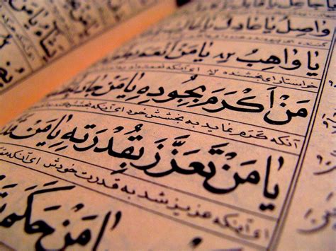 10 interesting facts about the Arabic language: | by Dadafish | Medium