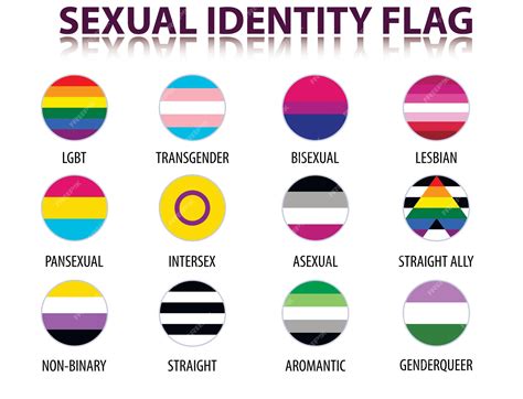 Conjunto de bandeiras de símbolos LGBT em um círculo orgulho de