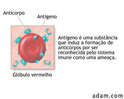 Anticorpo E Antigeno - Imunologia: Antigenos e Imunogenos