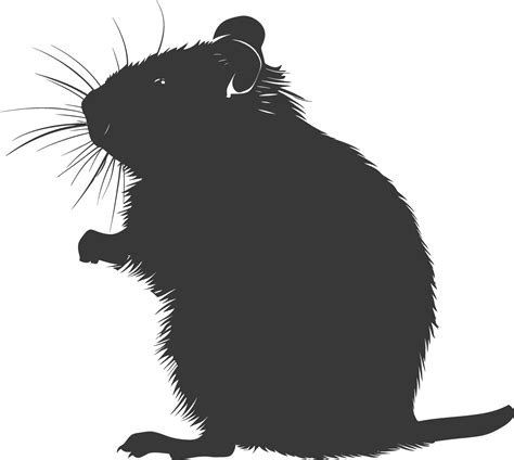 Silhouette hamster animal black color only full body 43635580 Vector