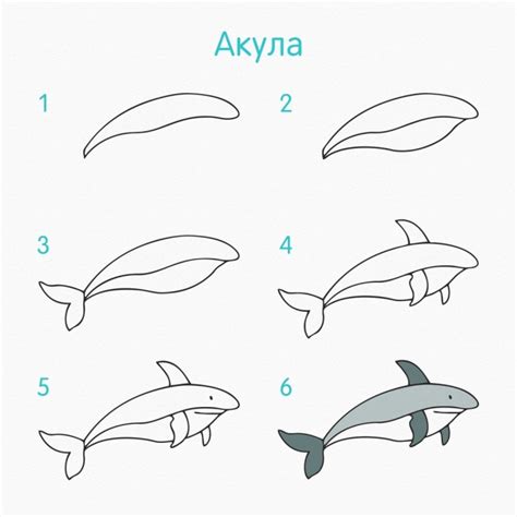 Рисуем с малышами морских жителей