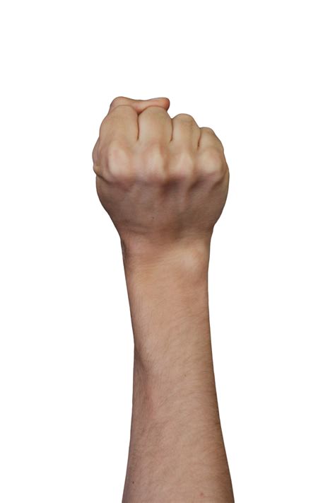 human hands fist  gestures realistic images  png