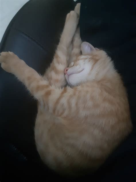 How To Suck My Own Dick