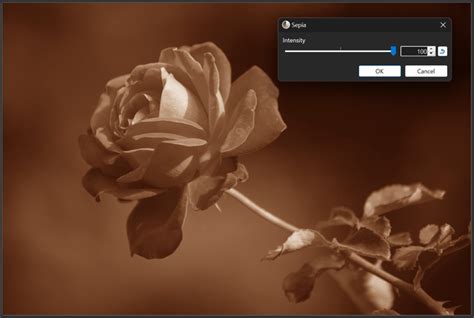 paint.net 5.0 is now available! – Paint.NET Blog