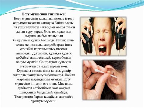 Есту және тепе-теңдік мүшесі - презентация онлайн