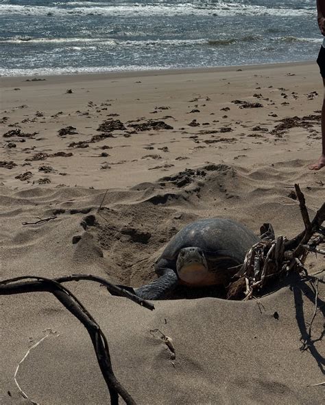 Tania Ramos (@taniaramos96) • Instagram photos and videos