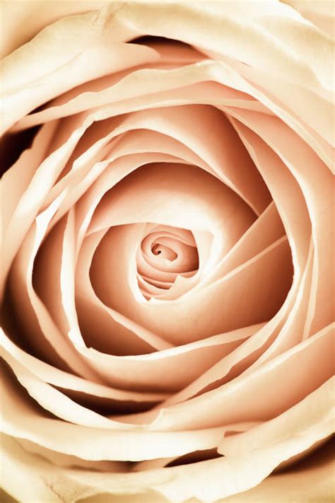 Pattern in Photography: Definition and Examples