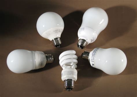 led fluorescent light bulb