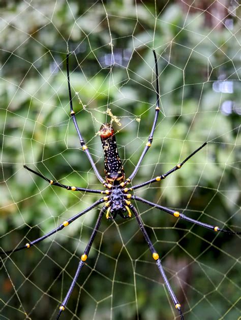 Indian Uncut Web Series Photos, Download The BEST Free Indian Uncut Web